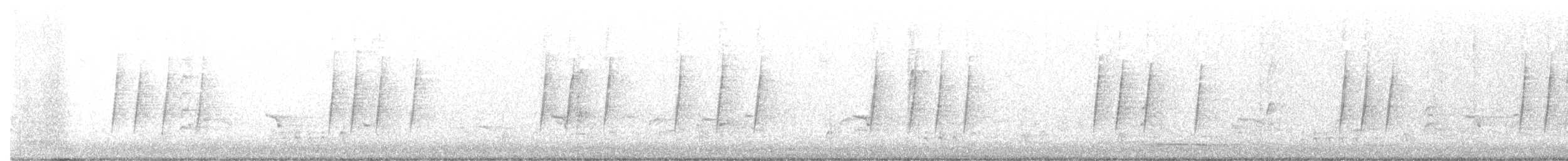 Wood Thrush - ML334738641