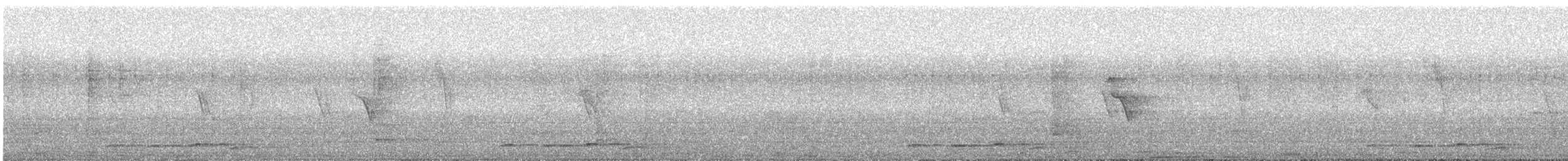 Indian Cuckoo - ML334862471