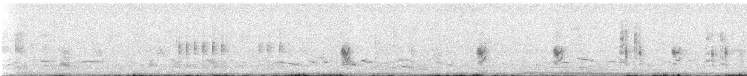 Woodchat Shrike - ML334912481