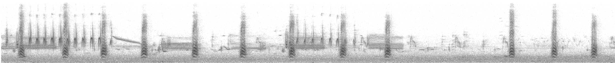 Marzaiola americana - ML334912541