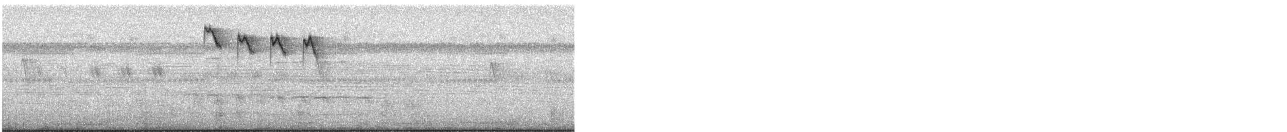 Оранжевобрюхий цветоед - ML334929741