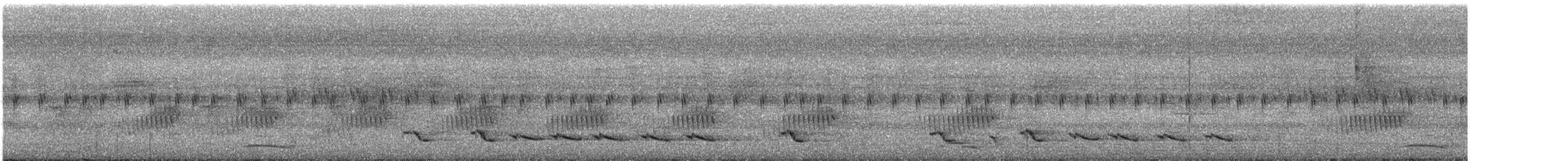 Райский дронго - ML334930061