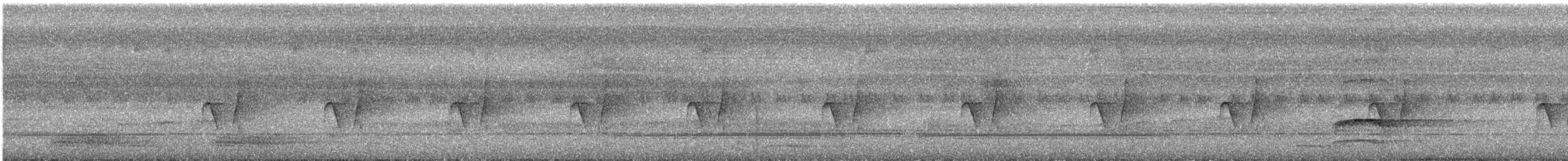 Аметистовая кукушка - ML334930211