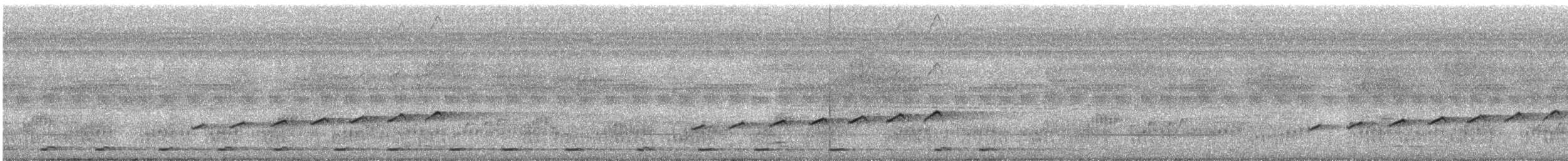 Дронговая кукушка - ML334930281