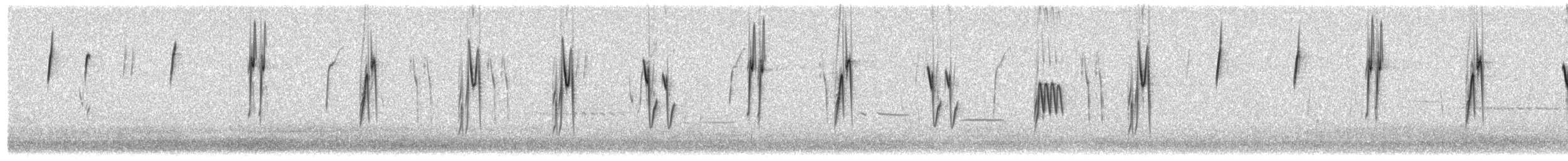 Botteri's Sparrow - ML33493691