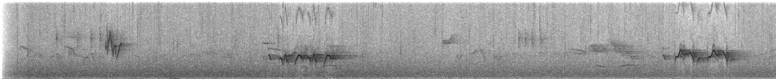 Bianchi's Warbler - ML335030