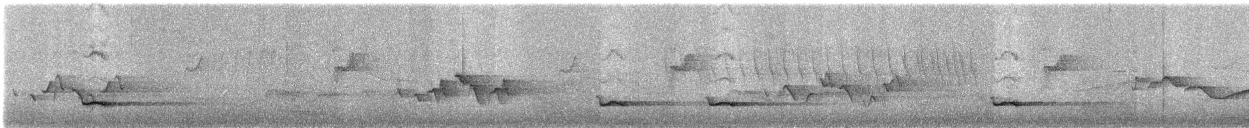 Charlatán Lunado - ML335031