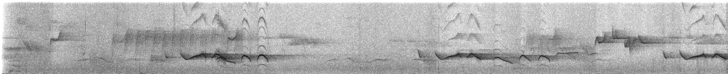 Elliot's Laughingthrush - ML335033