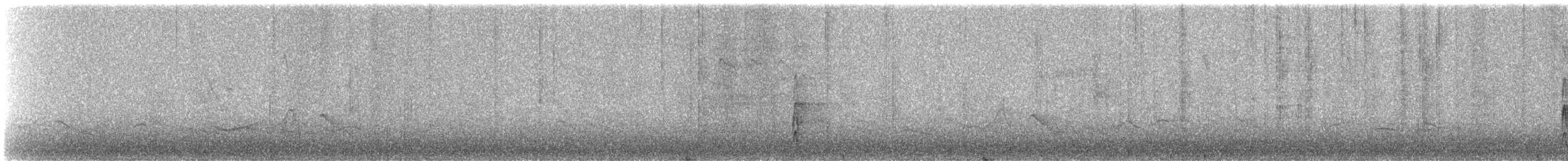 Necklaced Woodpecker - ML335034