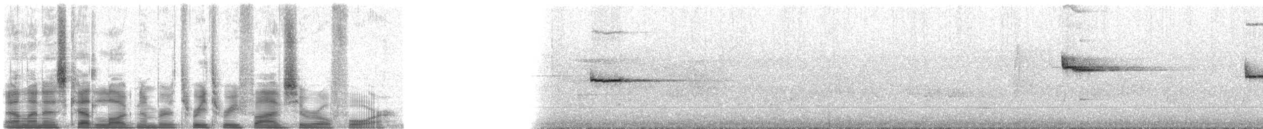 Pygmy Cupwing - ML33504