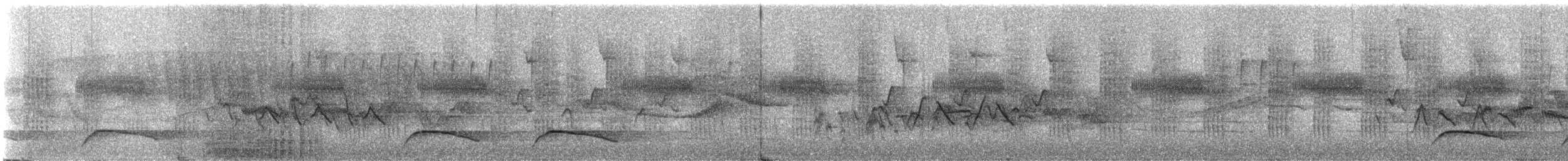 Barred Laughingthrush - ML335040