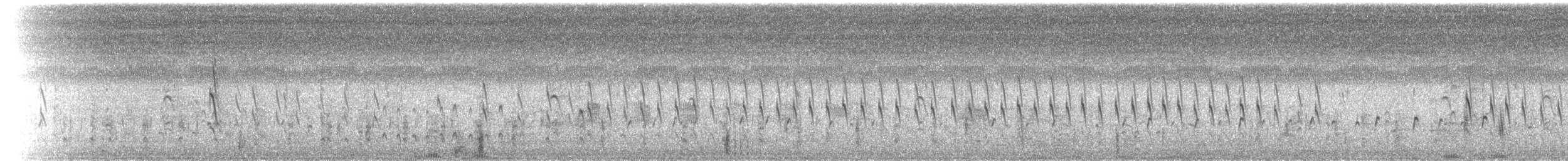 Rotschnabel-Pfeifgans - ML33512831