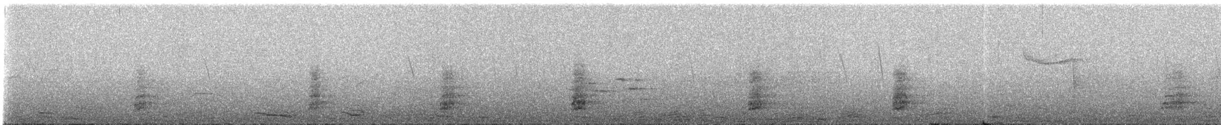 Lady Amherst's Pheasant - ML335132