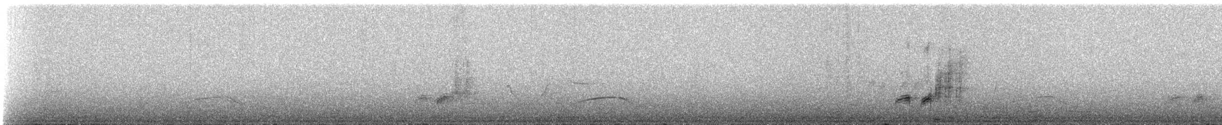 Streak-breasted Scimitar-Babbler - ML335133