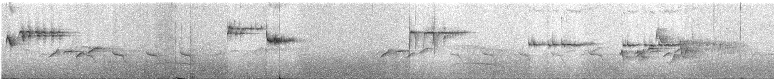 Snowy-browed Flycatcher - ML335137