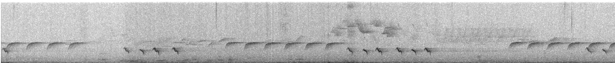 White-browed Shrike-Babbler - ML335138