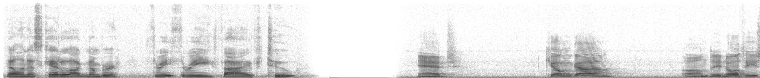 ススケカモメ - ML3352