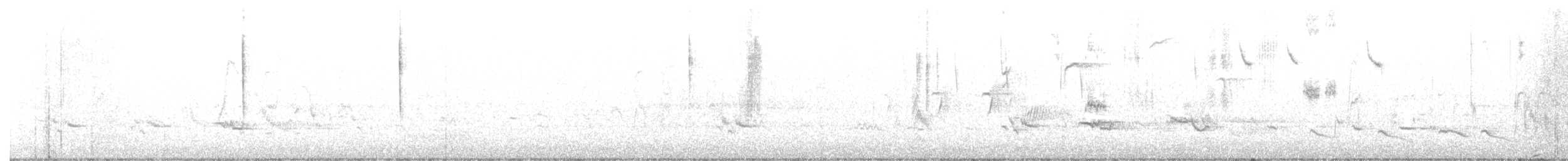 Savannah Sparrow - ML335200861