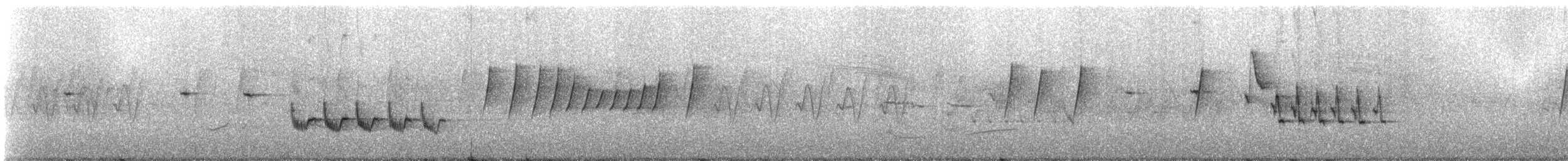 White-bellied Redstart - ML335222