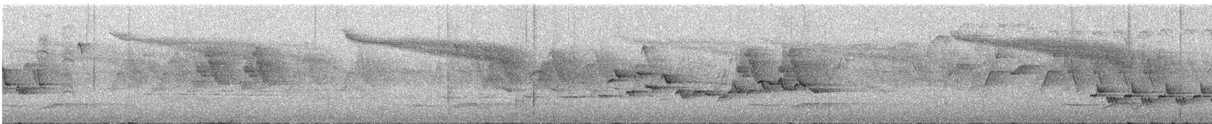 Slaty-backed Flycatcher - ML335225