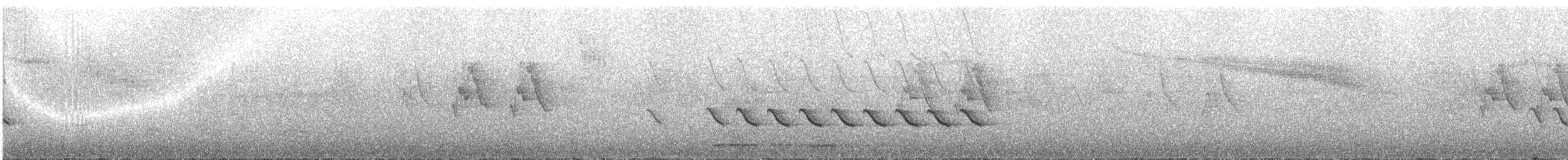 Snowy-browed Nuthatch - ML335229