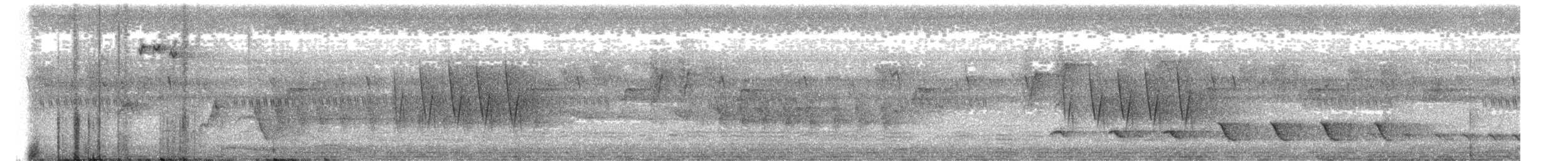 tykknebbedderkoppjeger - ML335236071