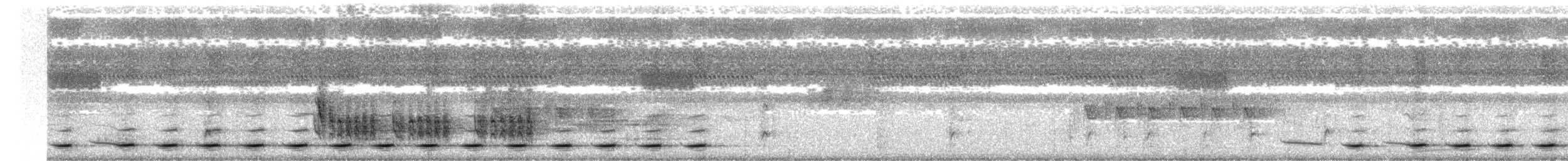 Kara Boğazlı Çalı Timalyası - ML335236431