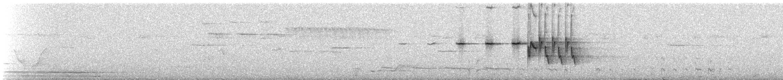 Indian Blue Robin - ML335244