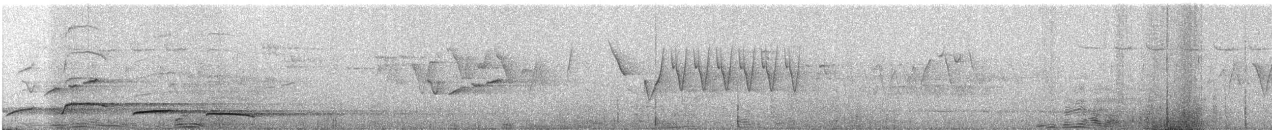 Spotted Laughingthrush - ML335245