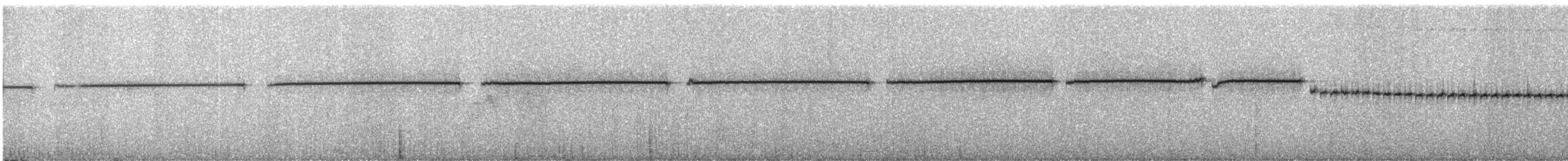 Yellowish-bellied Bush Warbler - ML335248