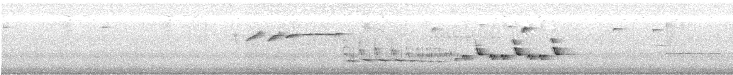 מלכילון אמריקני - ML335276431