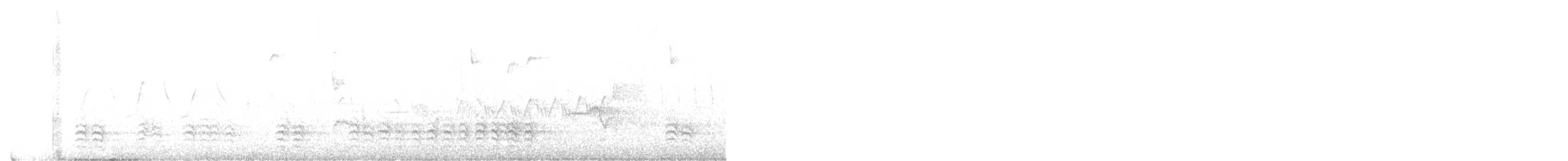 Weißbrustkleiber - ML335288971