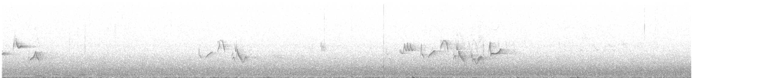 Western Warbling Vireo - ML335333481