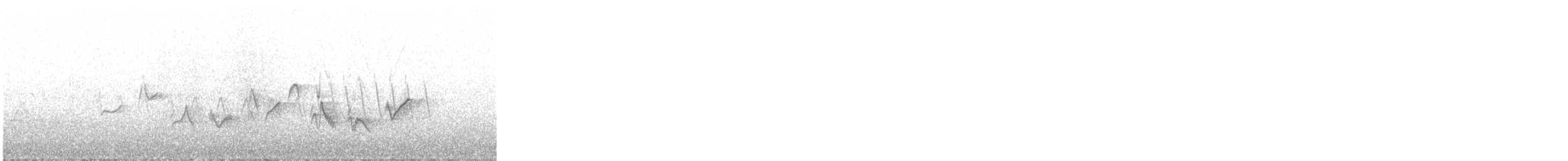 Western Warbling Vireo - ML335333581