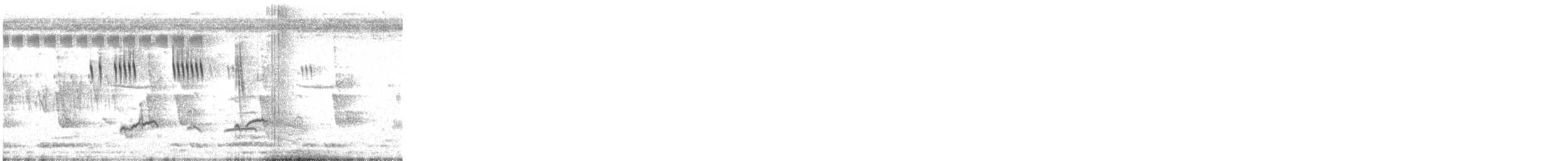 太平洋金斑鴴 - ML335334211
