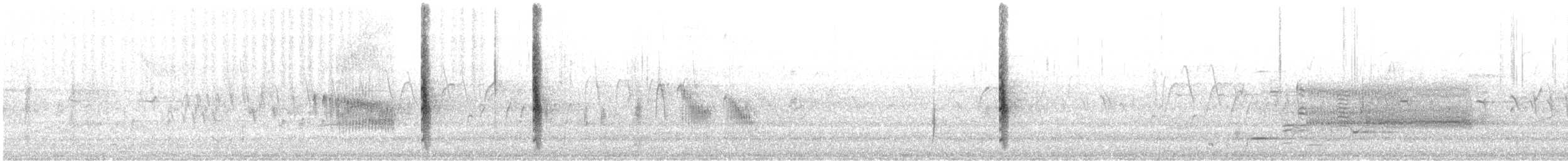 Rotflügelstärling [phoeniceus-Gruppe] - ML335410771