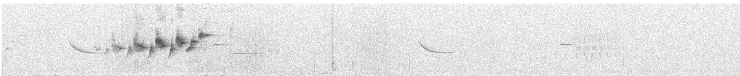 Black-throated Gray Warbler - ML335420871