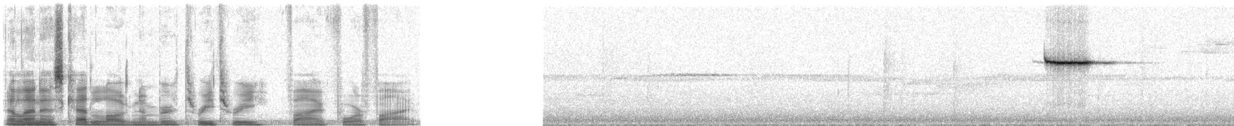 Pygmy Cupwing - ML33545
