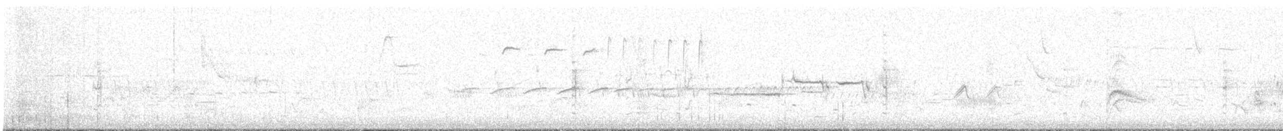 Bruant à couronne blanche - ML335462101