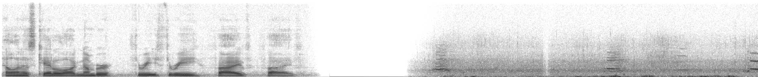 Great Black-backed Gull - ML3355