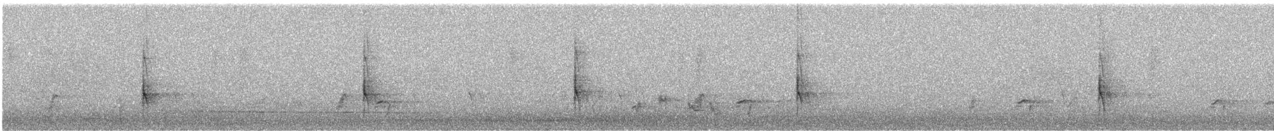 Syrian Woodpecker - ML33551021