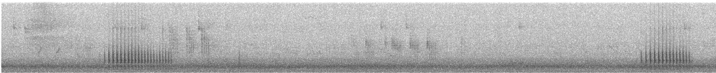 Syrian Woodpecker - ML33551031