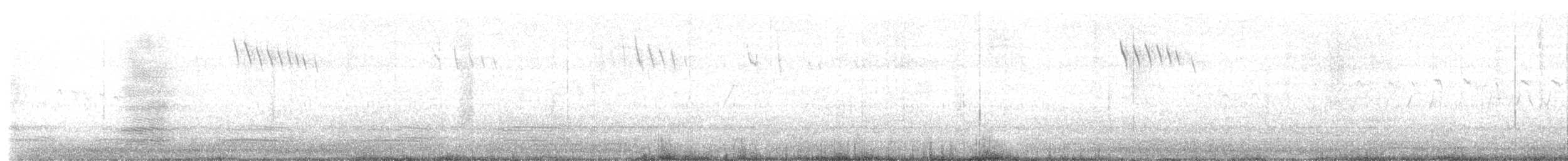 Mérion superbe - ML335542611