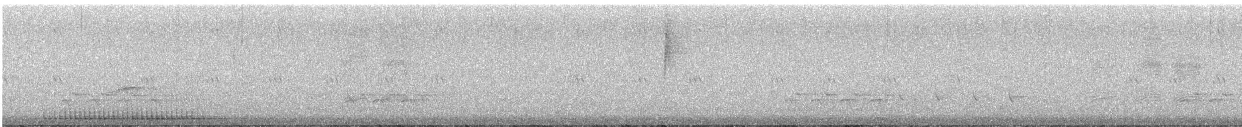 Pic chevelu - ML335553461