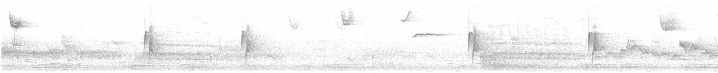 Least Flycatcher - ML335564901