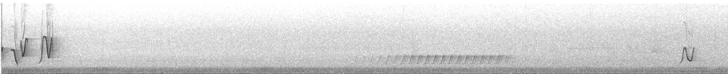 Rufous Whistler - ML33563801