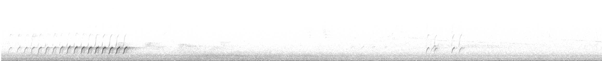 Королаз плямистобокий - ML33564961