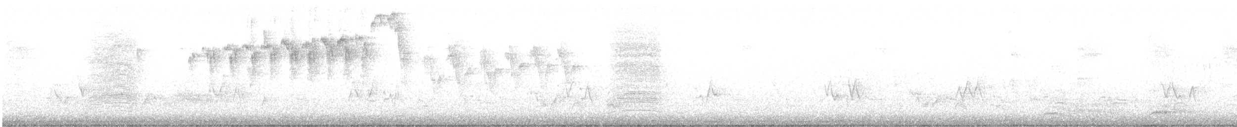 Fichtenwaldsänger - ML335673211