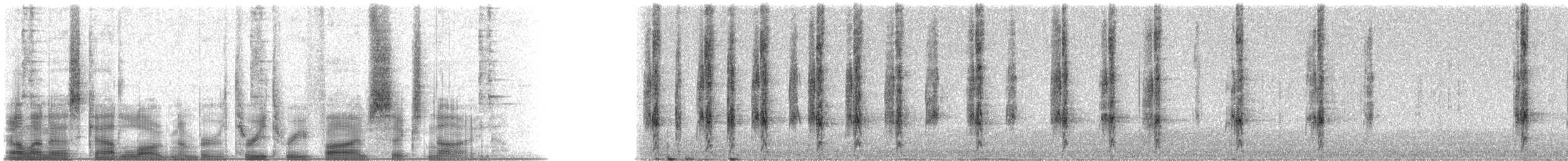 American Red Squirrel - ML33569