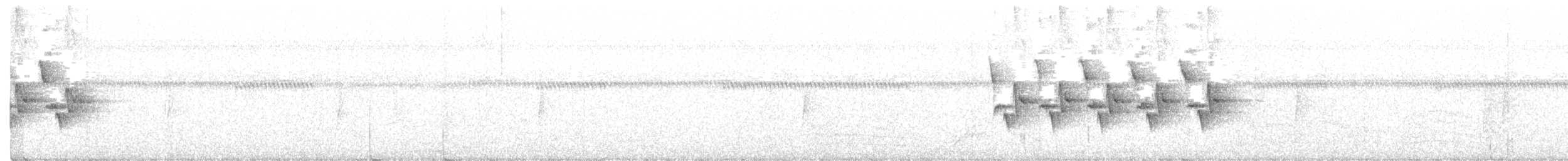 Поплітник каролінський - ML335698301